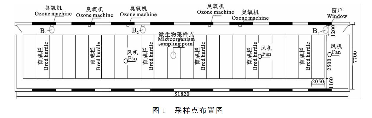 臭氧機放豬舍進行臭氧消毒會不會對豬有影響(圖1)